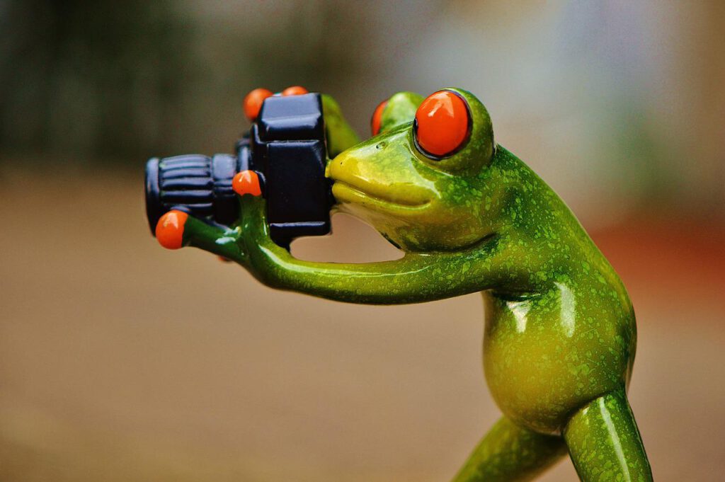 frog, photographer, fun-888798.jpg