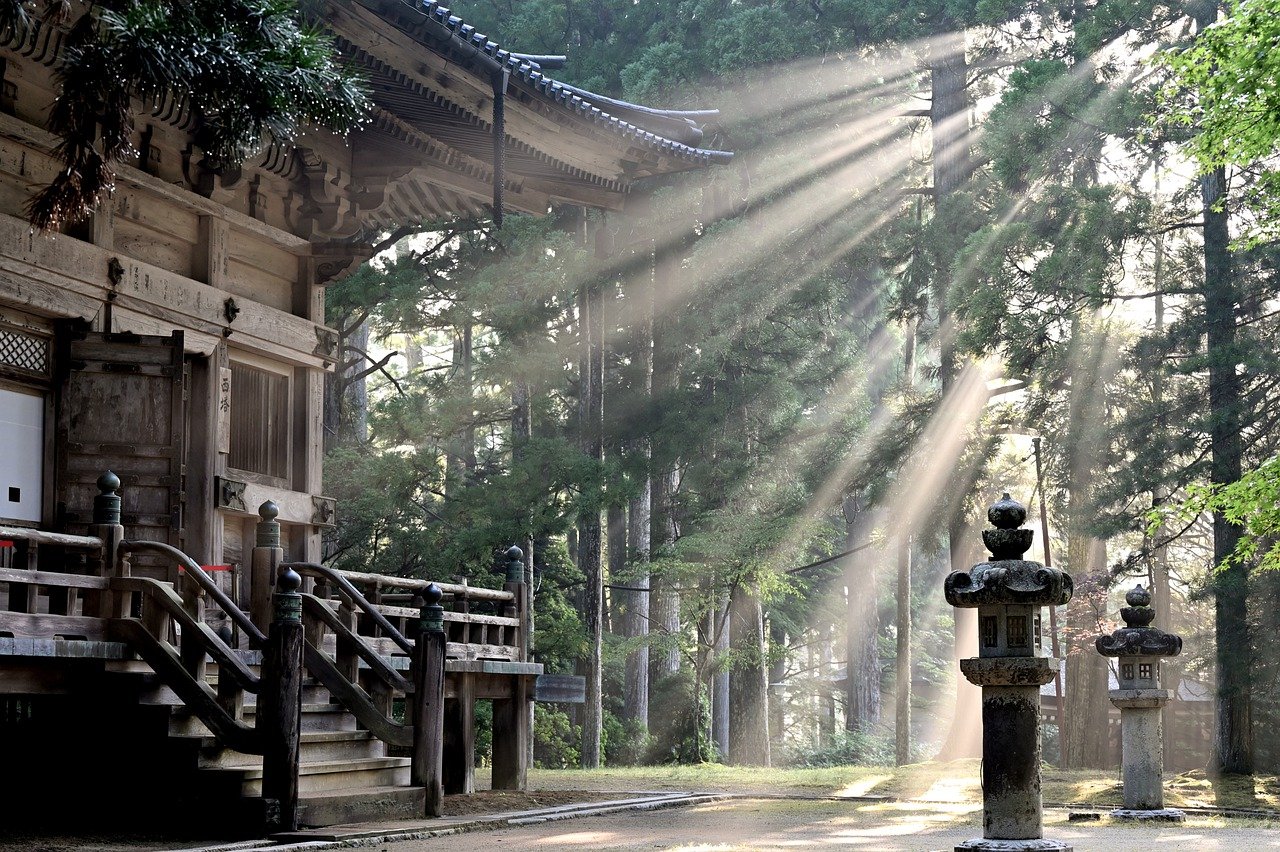 sun rays, forest, koyasan temple-7387131.jpg