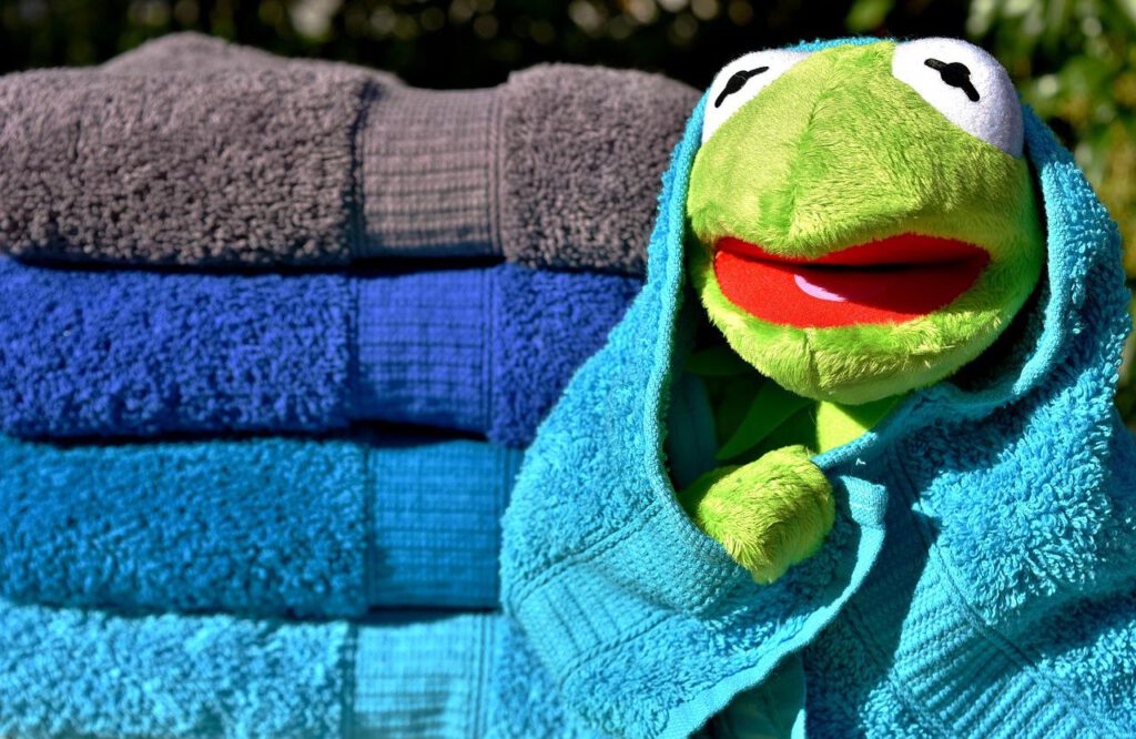הצפרדע קרמיט עם מגבת