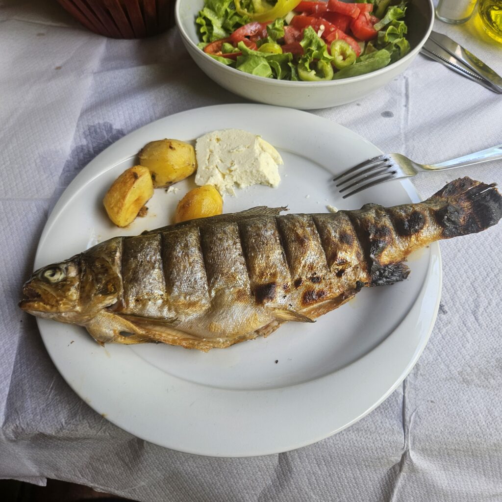 פורל נהרות באלבניה